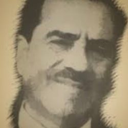 الشاعر محمد رضي الشماسي.